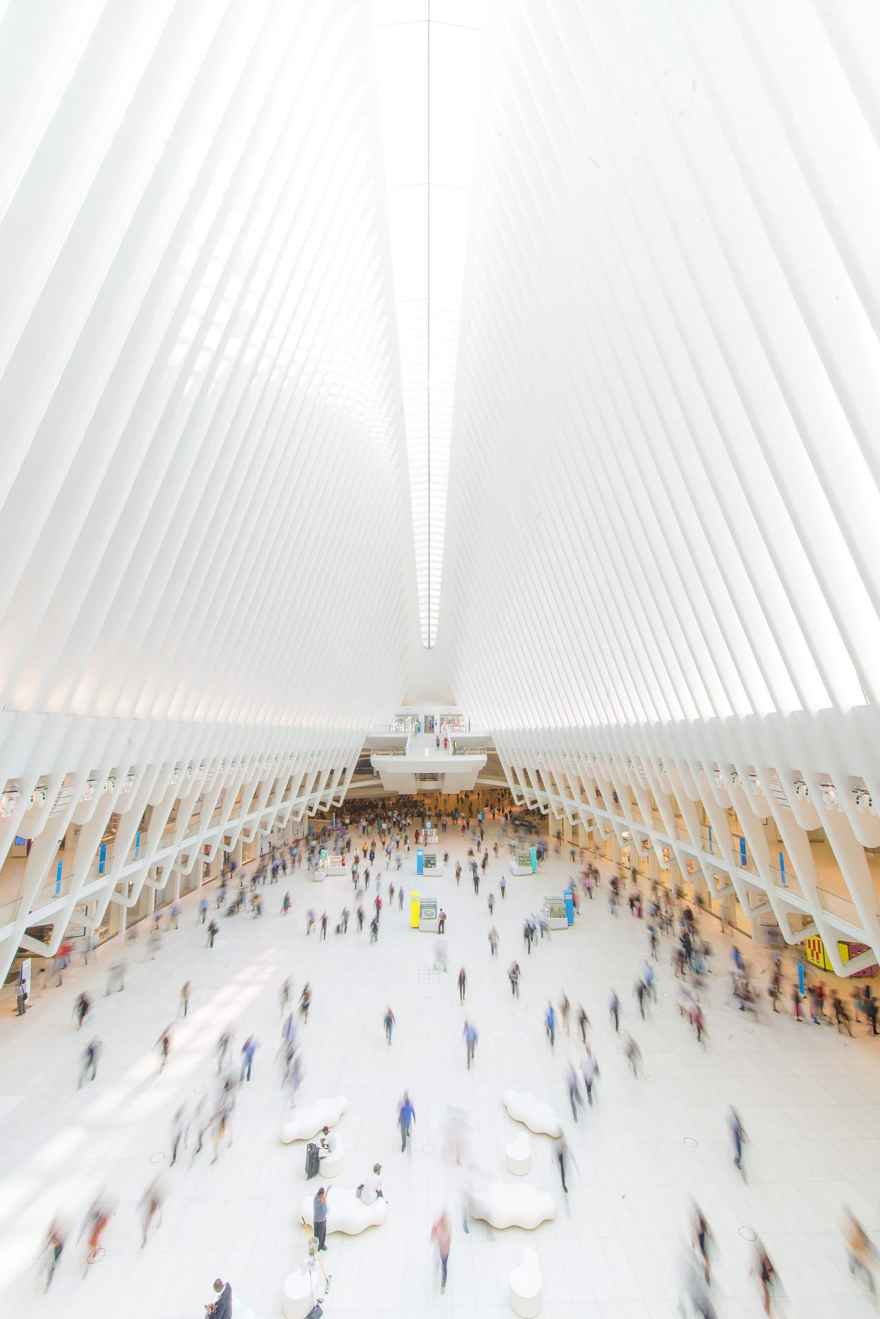 oculus interior